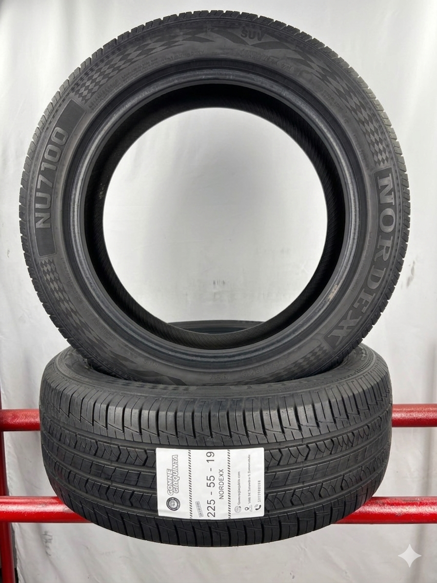 225/55 R19 99V Nordexx Nu7100 M+S